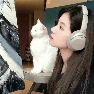 弱美男英雄第2季
